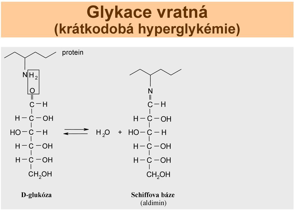 O O O O O 2 O 2 O 2 O D-glukóza Schiffova báze