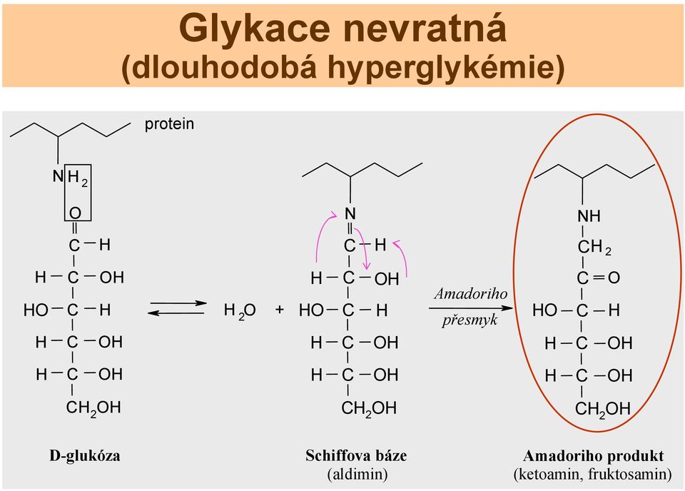 přesmyk O O O O O O 2 O 2 O 2 O D-glukóza