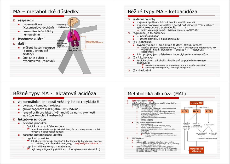 poruchy zvýšená lipolýza v tukové tkáni mobilizace MK zvýšená produkce ketolátek z acetyl CoA (lipolýza TG) v játrech (βhydroxybutyrát, acetoacetát, aceton) jejich vzájemný poměr závisí na poměru