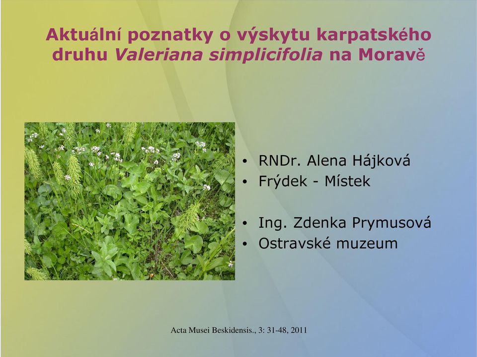 druhuvalerianasimplicifolia na Moravě