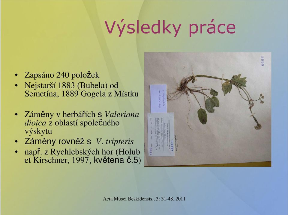 dioica z oblastí společného výskytu Záměny rovněž s V.