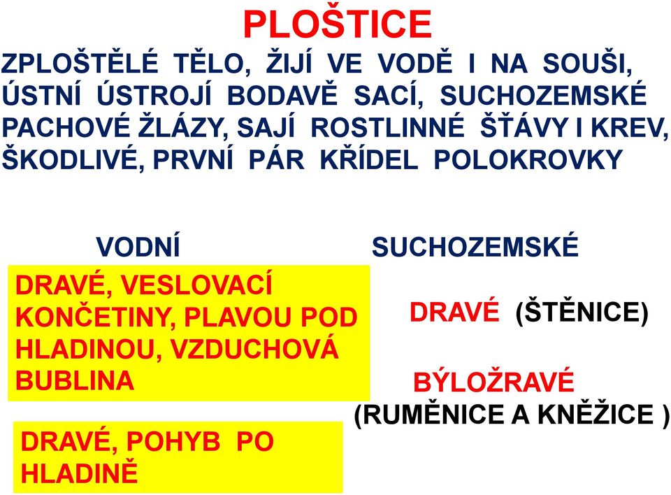 KŘÍDEL POLOKROVKY VODNÍ SUCHOZEMSKÉ DRAVÉ, VESLOVACÍ DRAVÉ (ŠTĚNICE) KONČETINY,