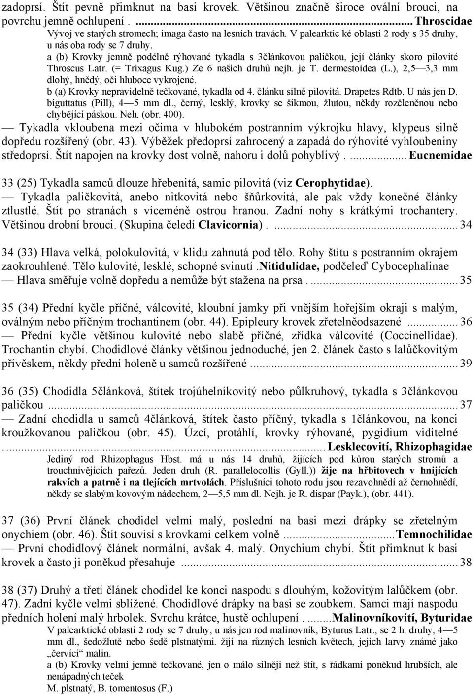 ) Ze 6 našich druhů nejh. je T. dermestoidea (L.), 2,5 3,3 mm dlohý, hnědý, oči hluboce vykrojené. b (a) Krovky nepravidelně tečkované, tykadla od 4. článku silně pilovitá. Drapetes Rdtb. U nás jen D.