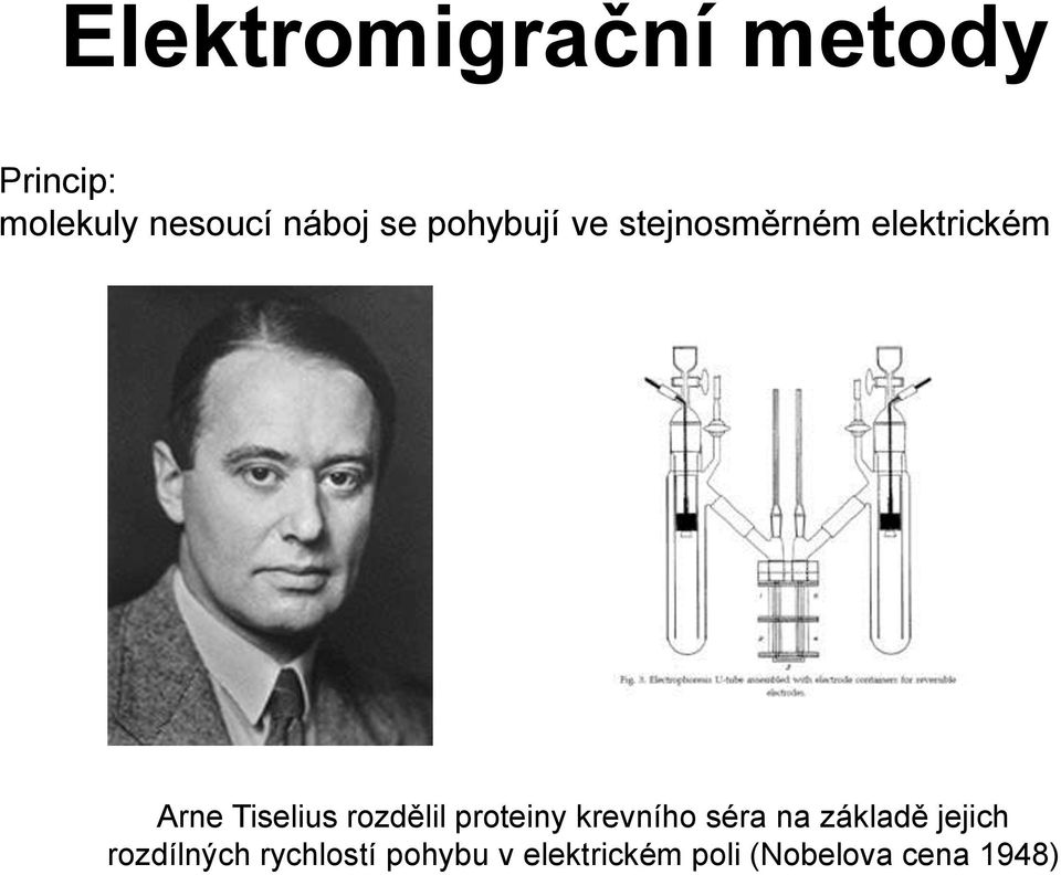 rozdělil proteiny krevního séra na základě jejich