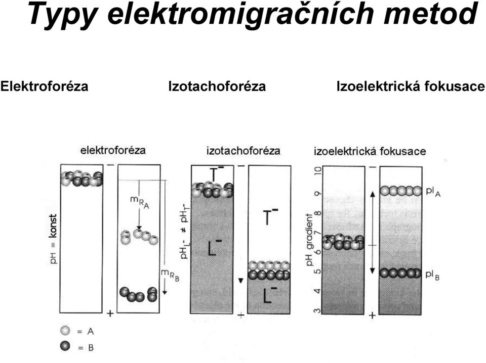 metod Elektroforéza