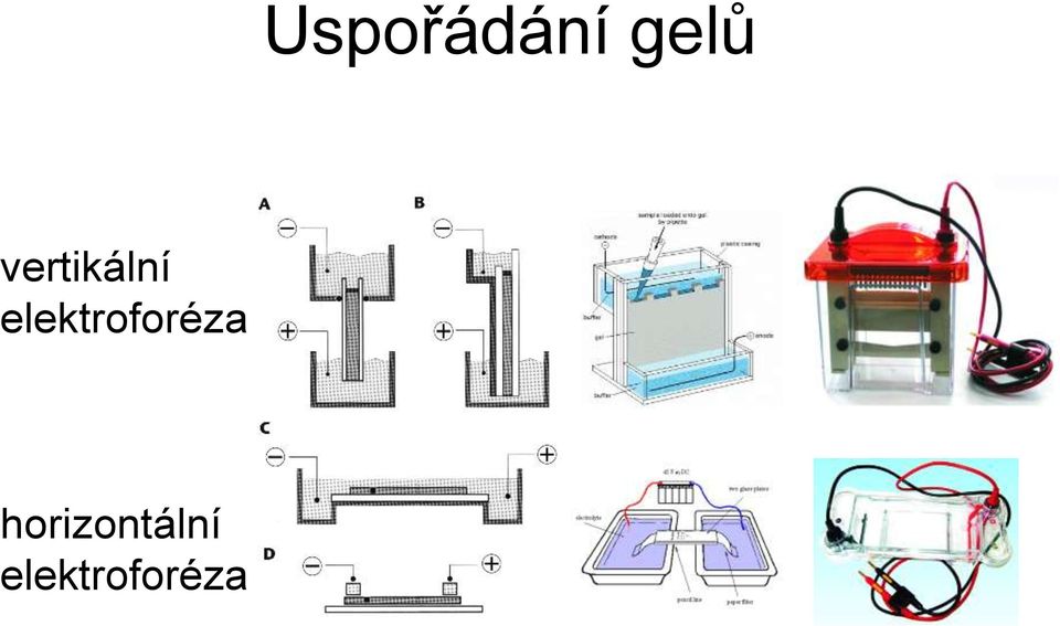 elektroforéza