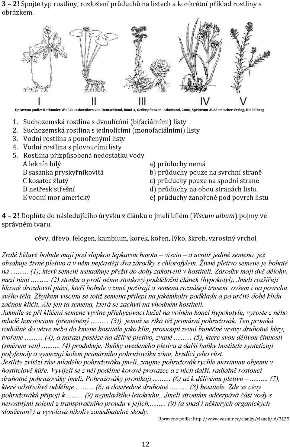 Suchozemská rostlina s jednolícími (monofaciálními) listy 3. Vodní rostlina s ponořenými listy 4. Vodní rostlina s plovoucími listy 5.