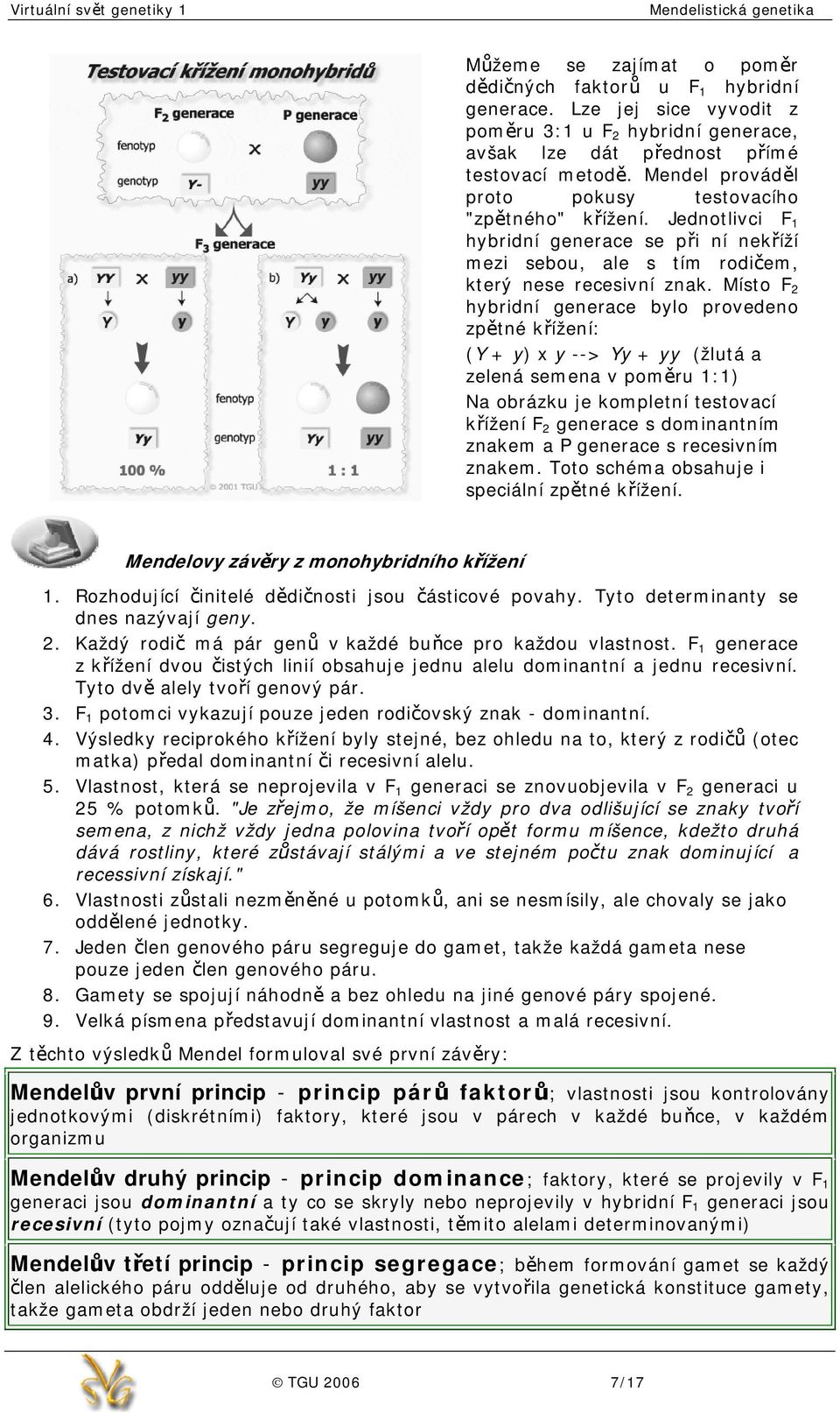 Místo F 2 hybridní generace bylo provedeno zpětné křížení: (Y + y) x y --> Yy + yy (žlutá a zelená semena v poměru 1:1) Na obrázku je kompletní testovací křížení F 2 generace s dominantním znakem a P