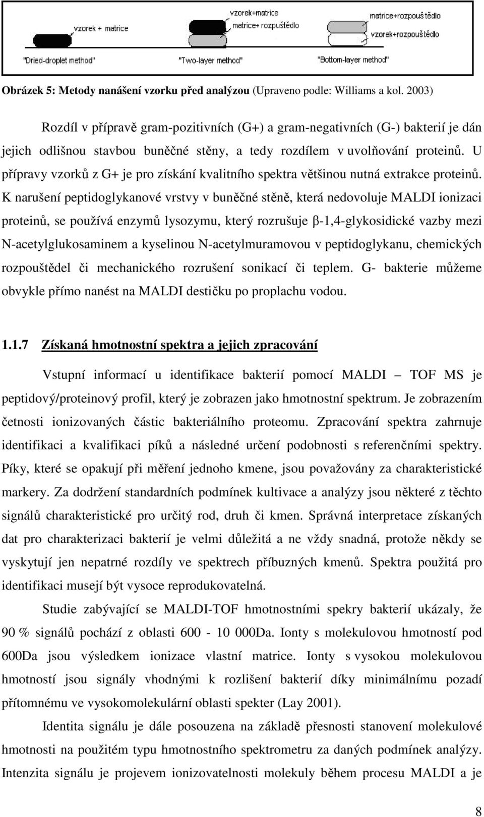 U přípravy vzorků z G+ je pro získání kvalitního spektra většinou nutná extrakce proteinů.