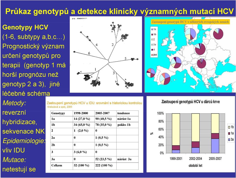 léčebné schéma Metody: reverzní hybridizace, sekvenace NK Epidemiologie: vliv IDU 0% % Zastoupení