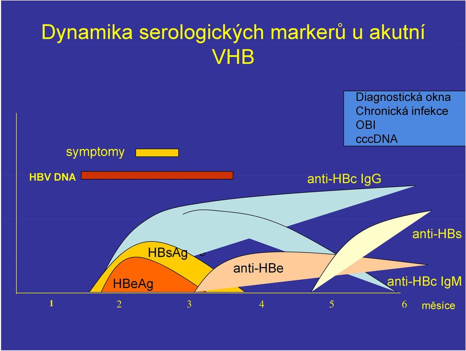 cccdna HBV DNA anti-hbc IgG HBsAg HBsAg HBeAg