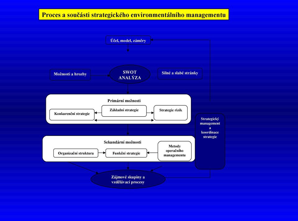 struktura Základní strategie Sekundární možnosti Funkční strategie Strategie rizik Metody