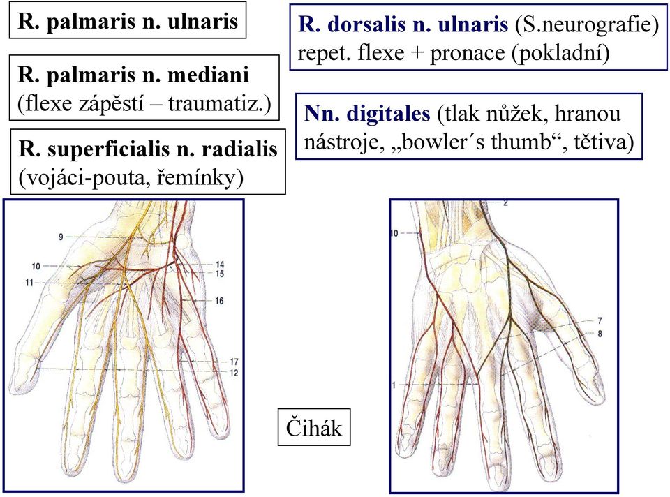 flexe + pronace (pokladní) (flexe zápěstí traumatiz.) Nn.