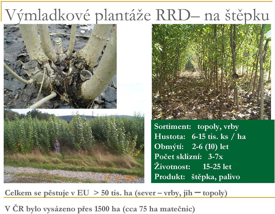 ks / ha Obmýtí: 2-6 (10) let Počet sklizní: 3-7x Životnost: 15-25 let