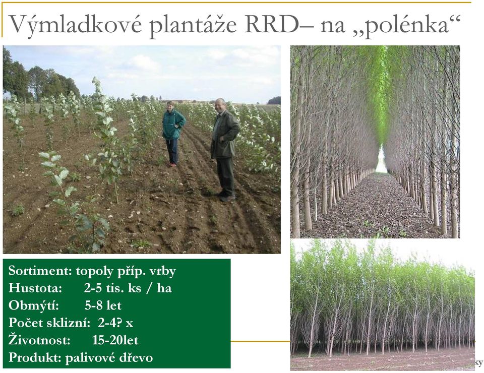 ks / ha Obmýtí: 5-8 let Počet sklizní: 2-4?