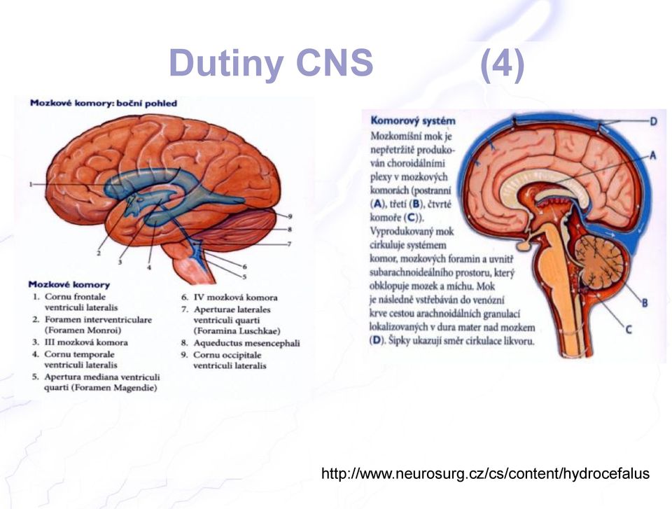 neurosurg.