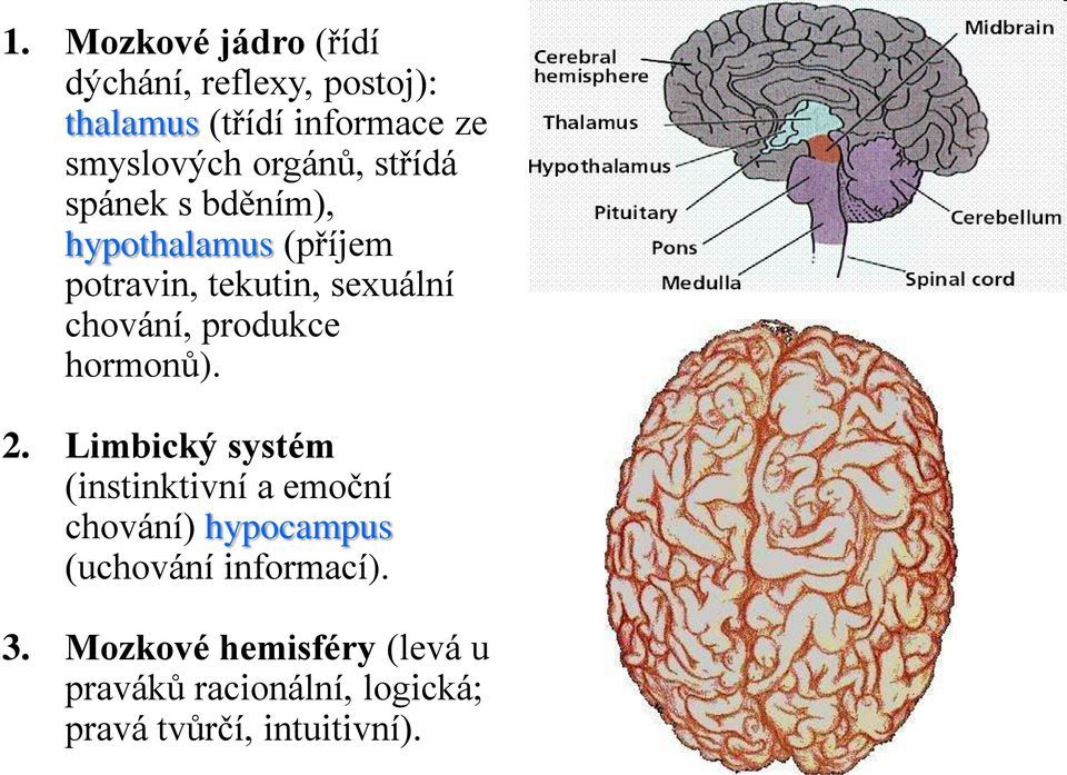produkce hormonů). 2.