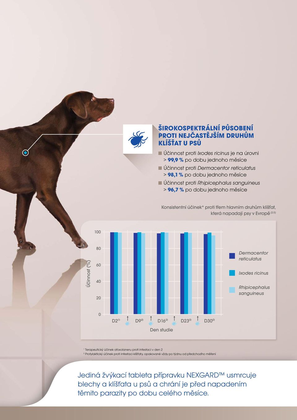 40 20 Dermacentor reticulatus lxodes ricinus Rhipicephalus sanguineus 0 D2 (1) D9 (2) D16 (2) D23 (2) D30 (2) Den studie 1 Terapeutický účinek afoxolaneru proti infestaci v den 2 2 Profylaktický