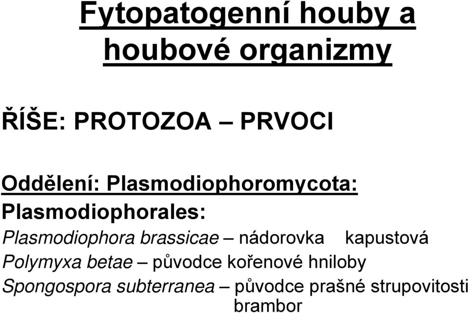 Plasmodiophora brassicae nádorovka kapustová Polymyxa betae