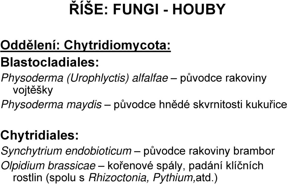 skvrnitosti kukuřice Chytridiales: Synchytrium endobioticum původce rakoviny