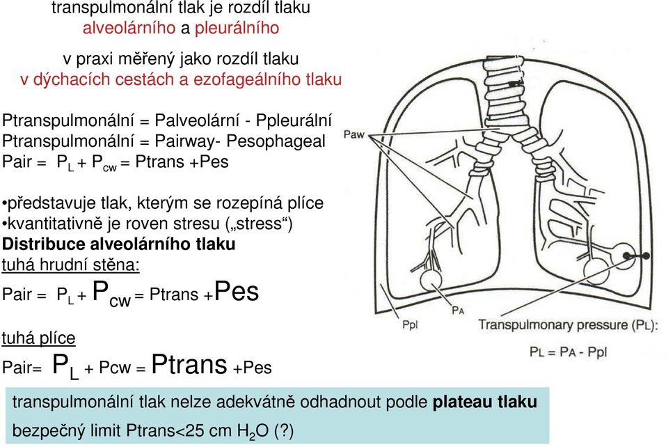 se rozepíná plíce kvantitativně je roven stresu ( stress ) Distribuce alveolárního tlaku tuhá hrudní stěna: Pair = P L + P cw = Ptrans +Pes