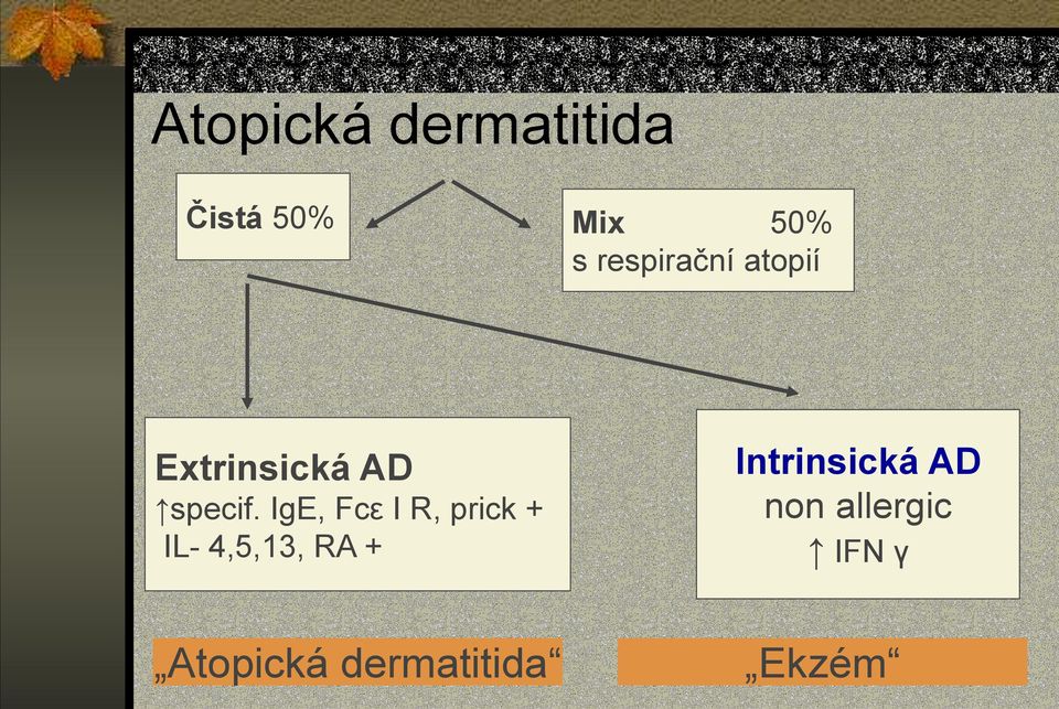 IgE, Fcε I R, prick + IL- 4,5,13, RA +