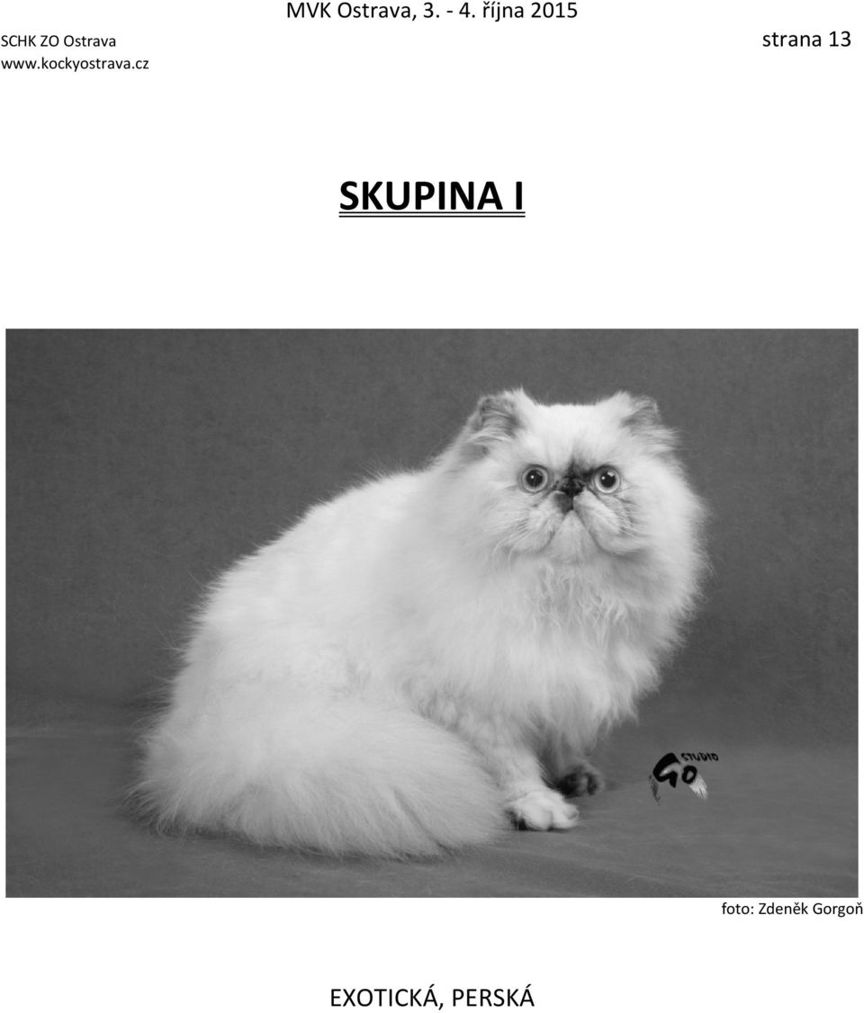 SKUPINA I foto: