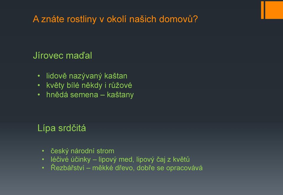 růžové hnědá semena kaštany Lípa srdčitá český národní strom