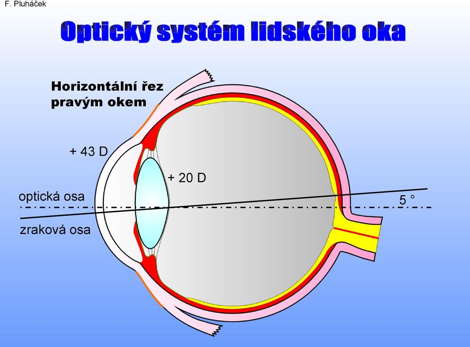 D + 20 D optická