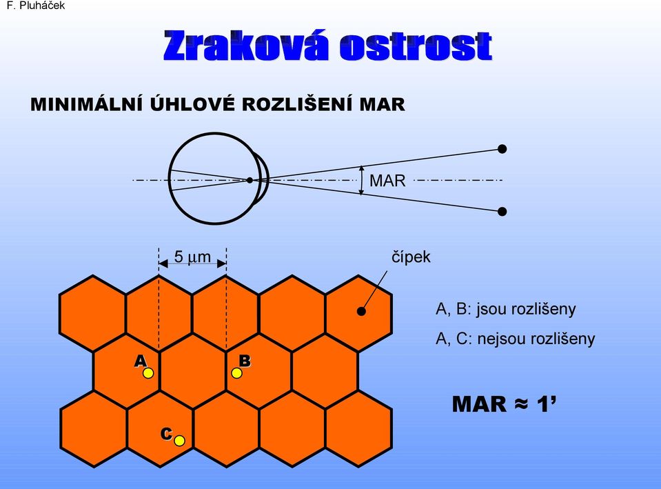 čípek A, B: jsou