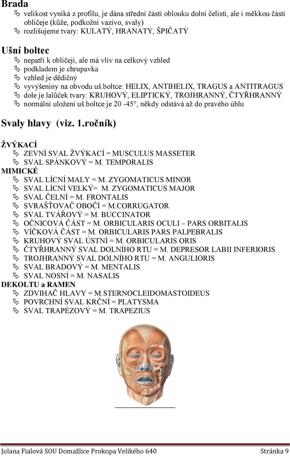 boltce: HELIX, ANTIHELIX, TRAGUS a ANTITRAGUS dole je lalůček tvary: KRUHOVÝ, ELIPTICKÝ, TROJHRANNÝ, ČTYŘHRANNÝ normální uložení uš.boltce je 20-45, někdy odstává až do pravého úhlu Svaly hlavy (viz.