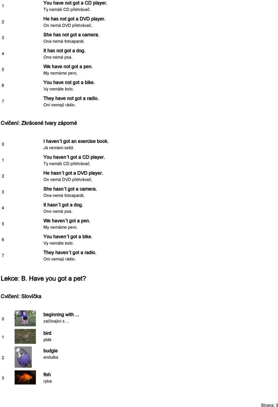 Já nemám sešit. You haven t got a CD player. Ty nemáš CD přehrávač. He hasn t got a DVD player. On nemá DVD přehrávač. She hasn t got a camera. Ona nemá fotoaparát. It hasn t got a dog. Ono nemá psa.