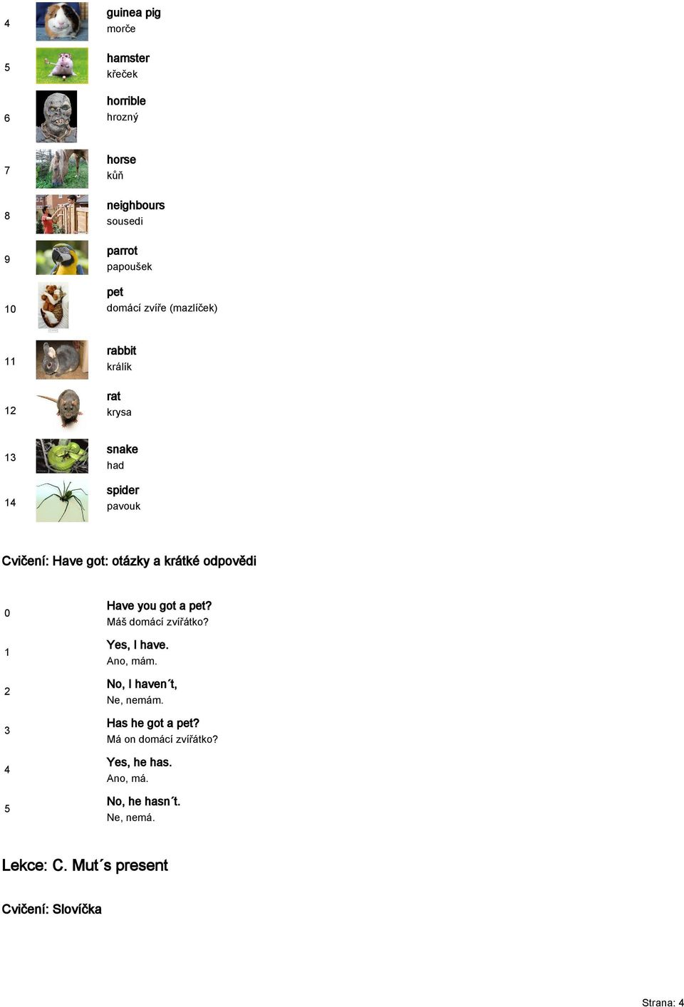 odpovědi Have you got a pet? Máš domácí zvířátko? Yes, I have. Ano, mám. No, I haven t, Ne, nemám.