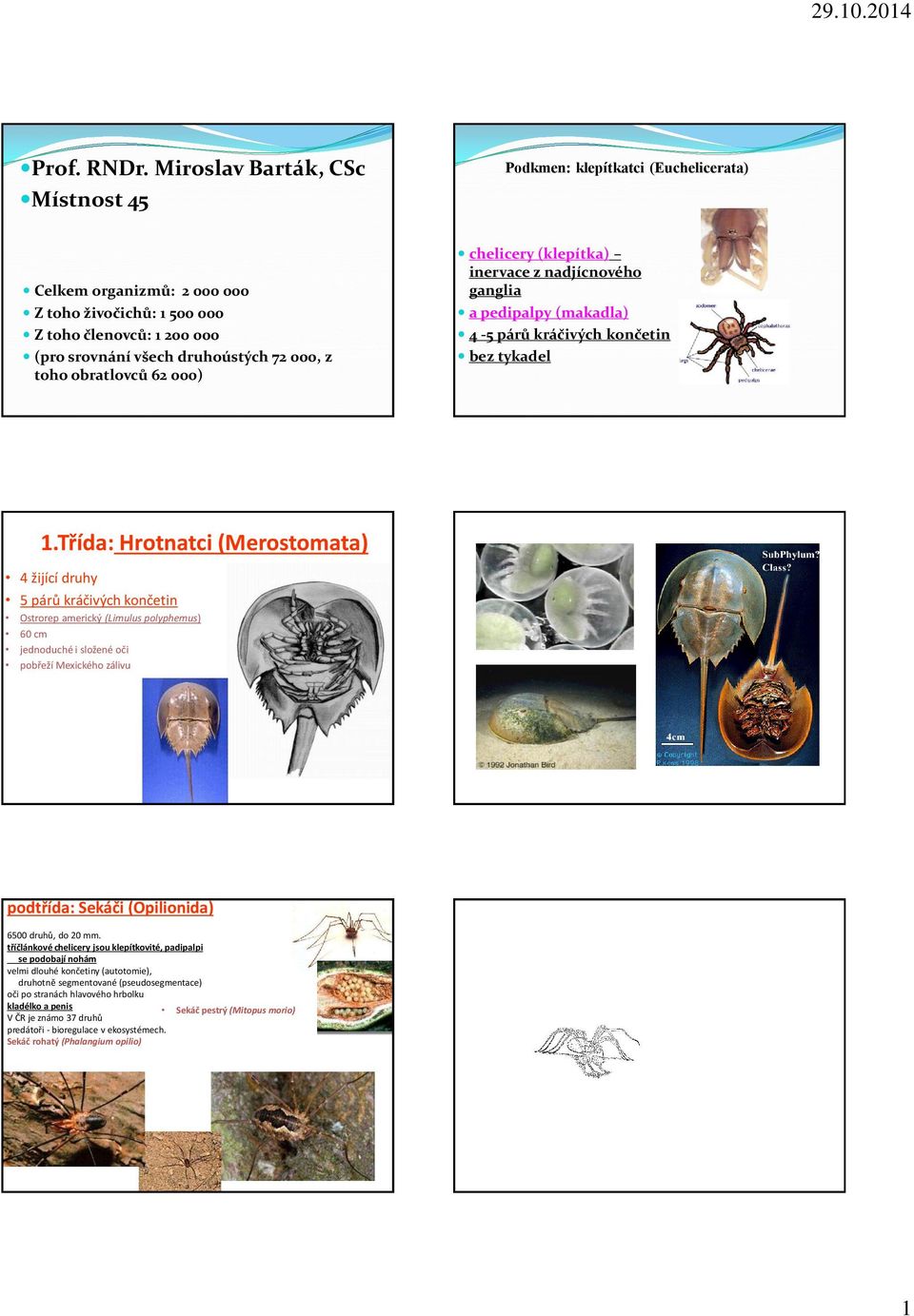 obratlovců 62 000) chelicery (klepítka) inervace z nadjícnového ganglia a pedipalpy (makadla) 4-5 párů kráčivých končetin bez tykadel 1.