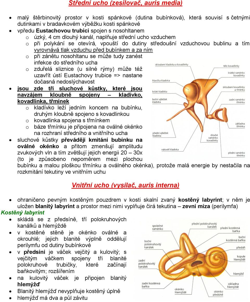 za ním o při zánětu nosohltanu se může tudy zanést infekce do středního ucha o zduřelá sliznice (u silné rýmy) může též uzavřít ústí Eustachovy trubice => nastane dočasná nedoslýchavost jsou zde tři