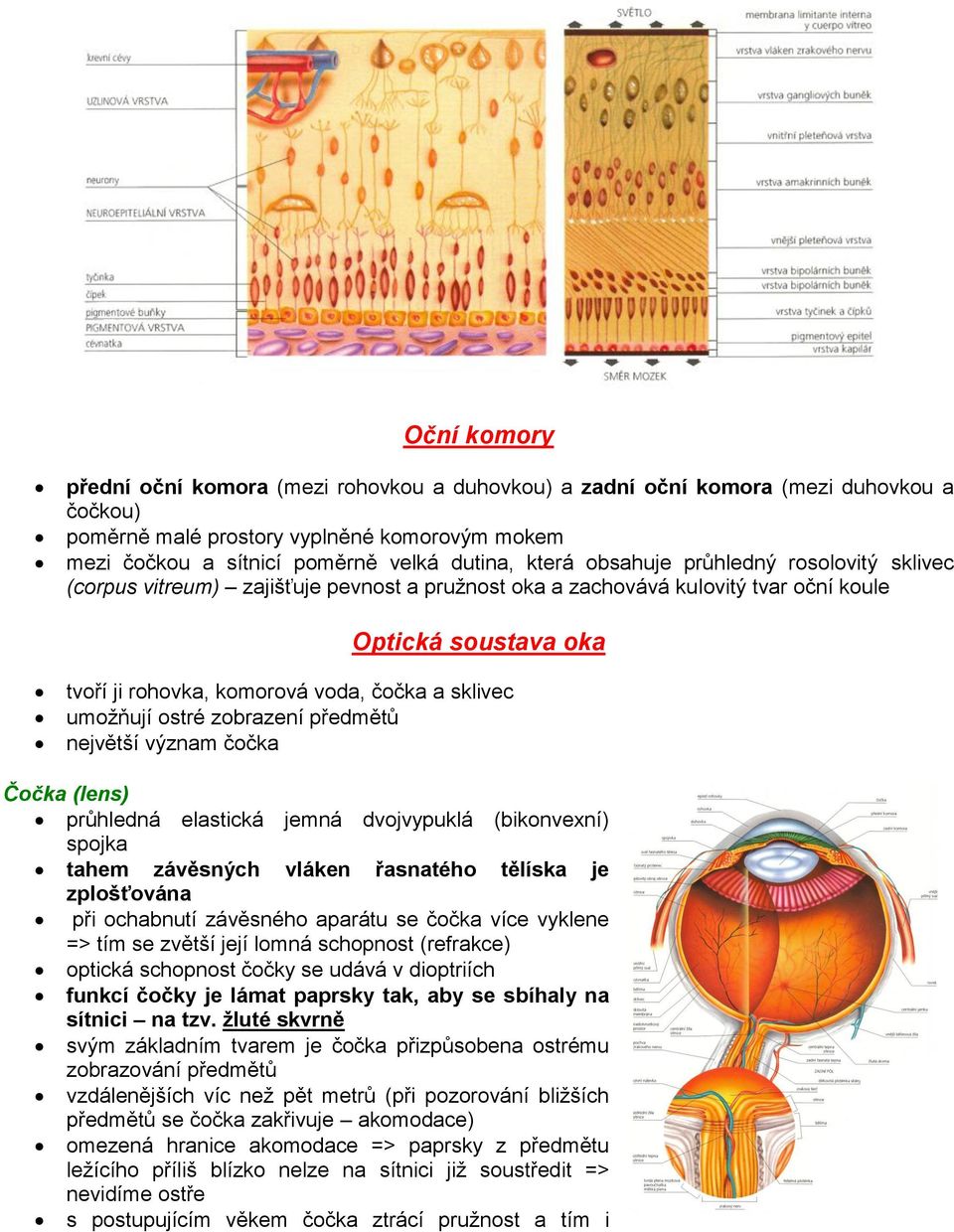umožňují ostré zobrazení předmětů největší význam čočka Čočka (lens) průhledná elastická jemná dvojvypuklá (bikonvexní) spojka tahem závěsných vláken řasnatého tělíska je zplošťována při ochabnutí