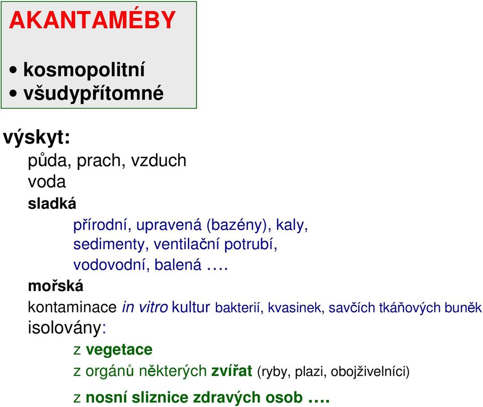 mořská kontaminace in vitro kultur bakterií, kvasinek, savčích tkáňových buněk