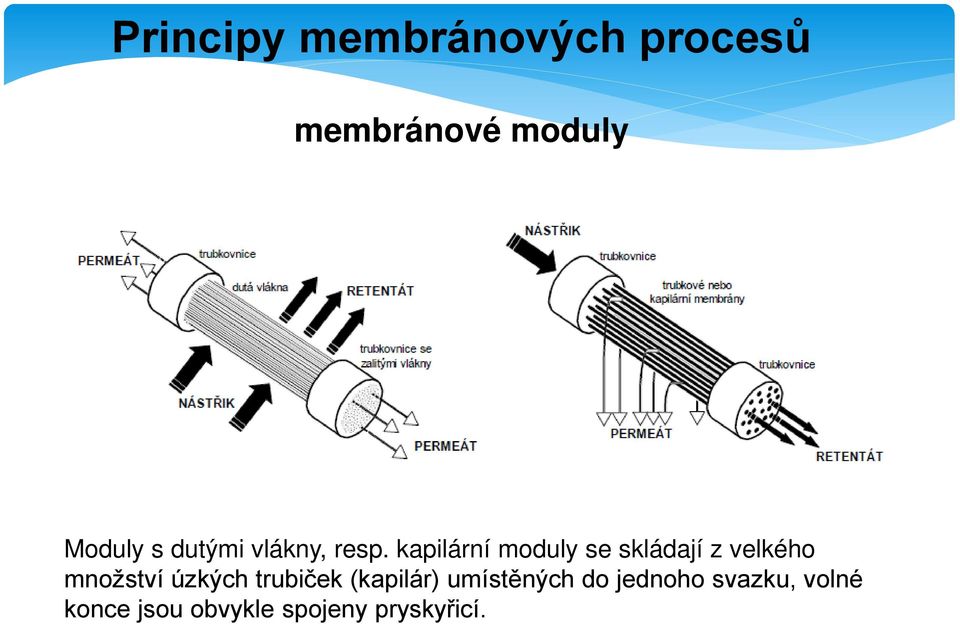 úzkých trubiček (kapilár) umístěných do jednoho