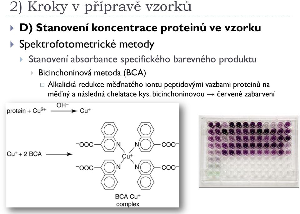 metoda (BCA) Alkalická redukce měďnatého iontu peptidovými vazbami