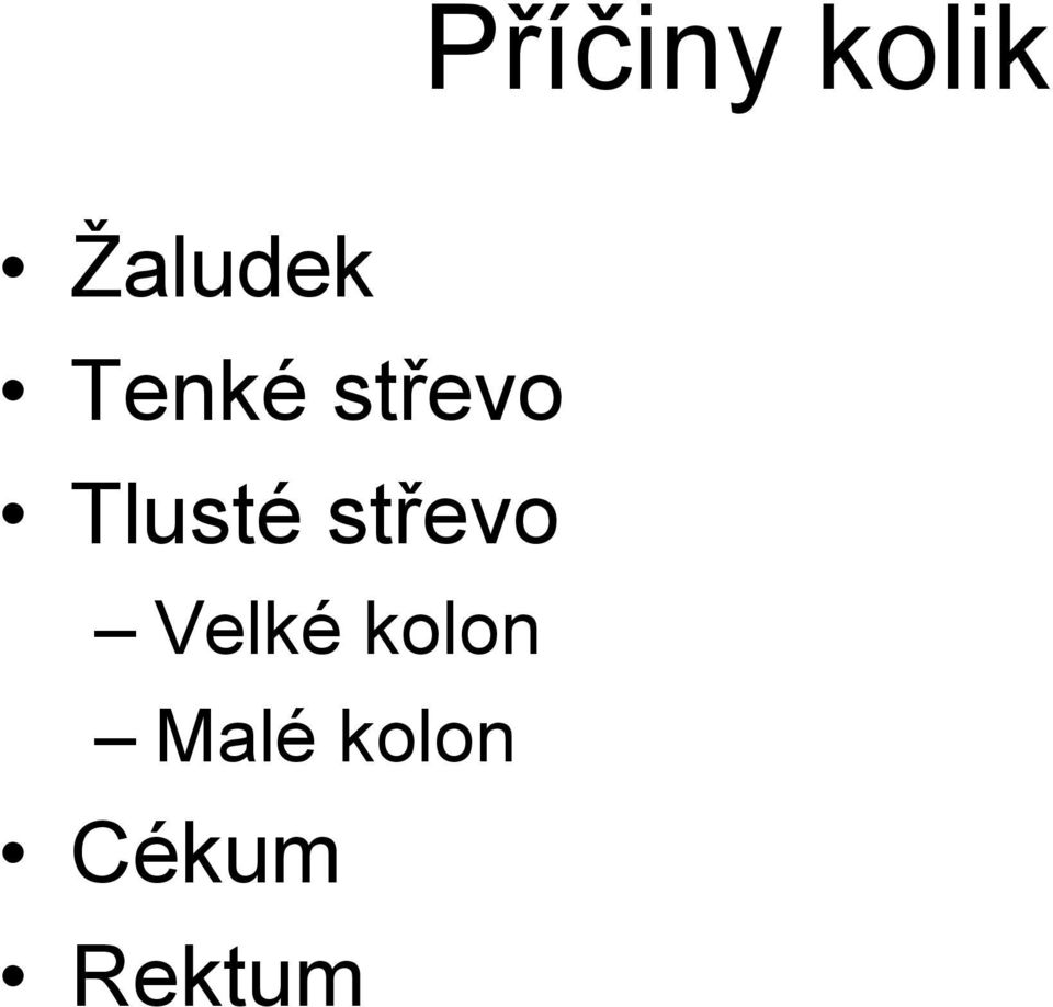 Tlusté střevo Velké