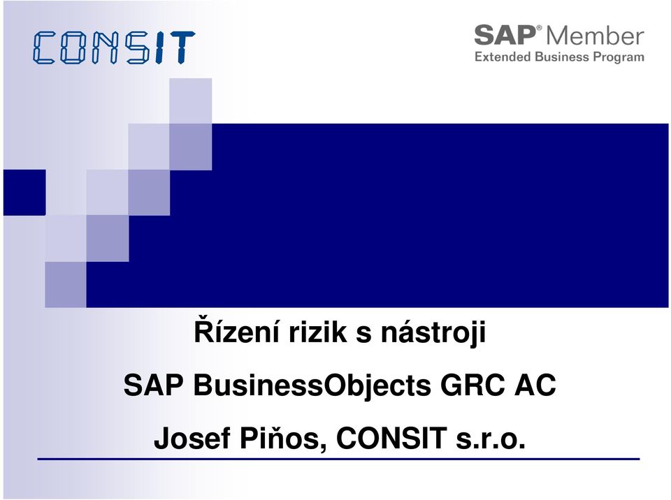 BusinessObjects GRC