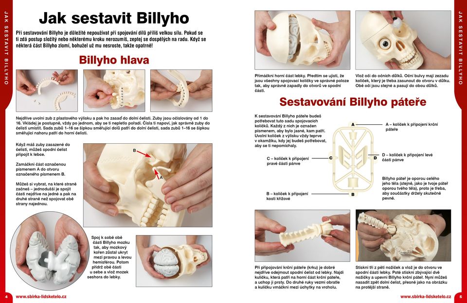 Předtím se ujisti, že jsou všechny spojovací kolíčky ve správné poloze tak, aby správně zapadly do otvorů ve spodní části. Vlož oči do očních důlků.