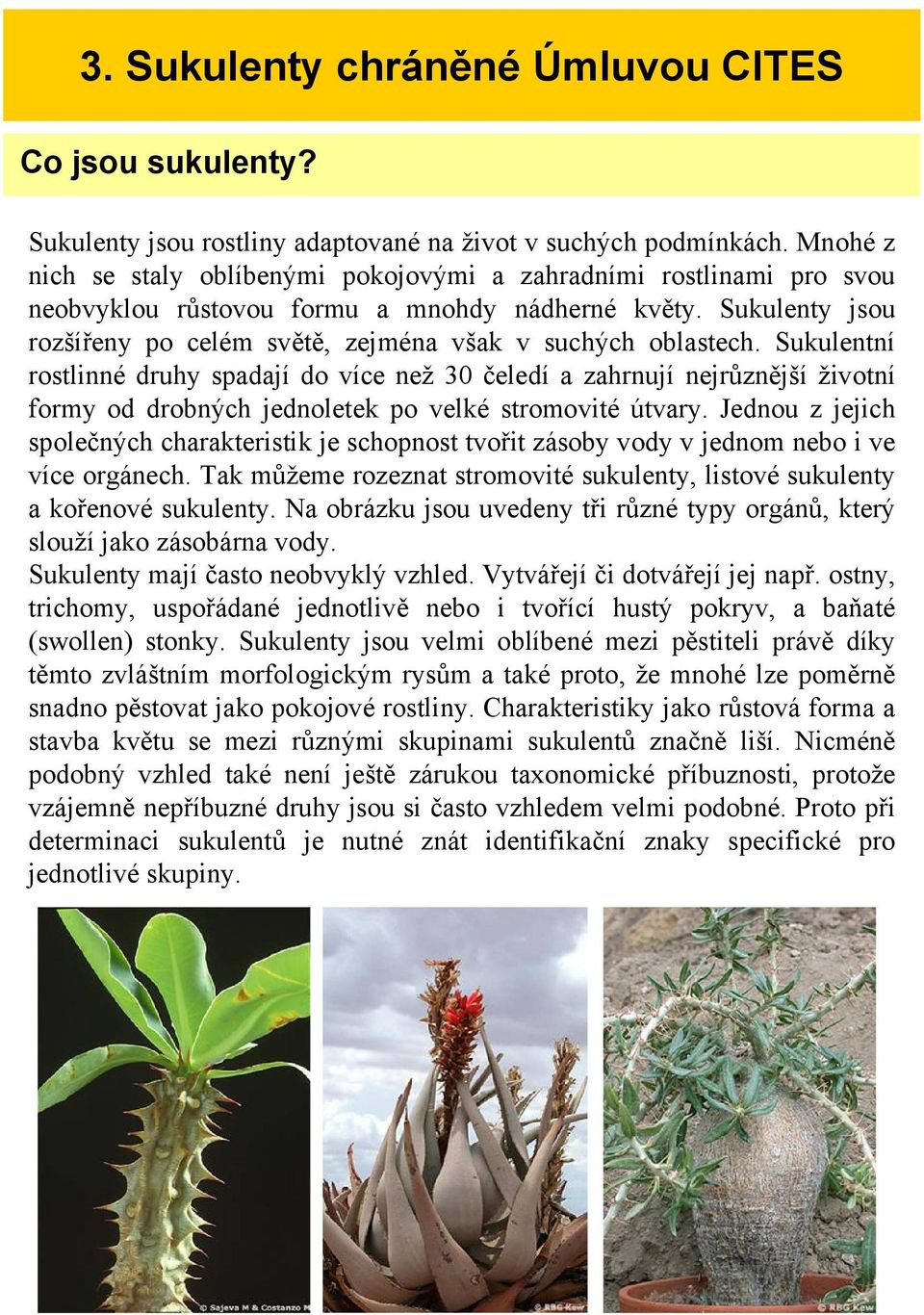 Sukulenty jsou rozšířeny po celém světě, zejména však v suchých oblastech.