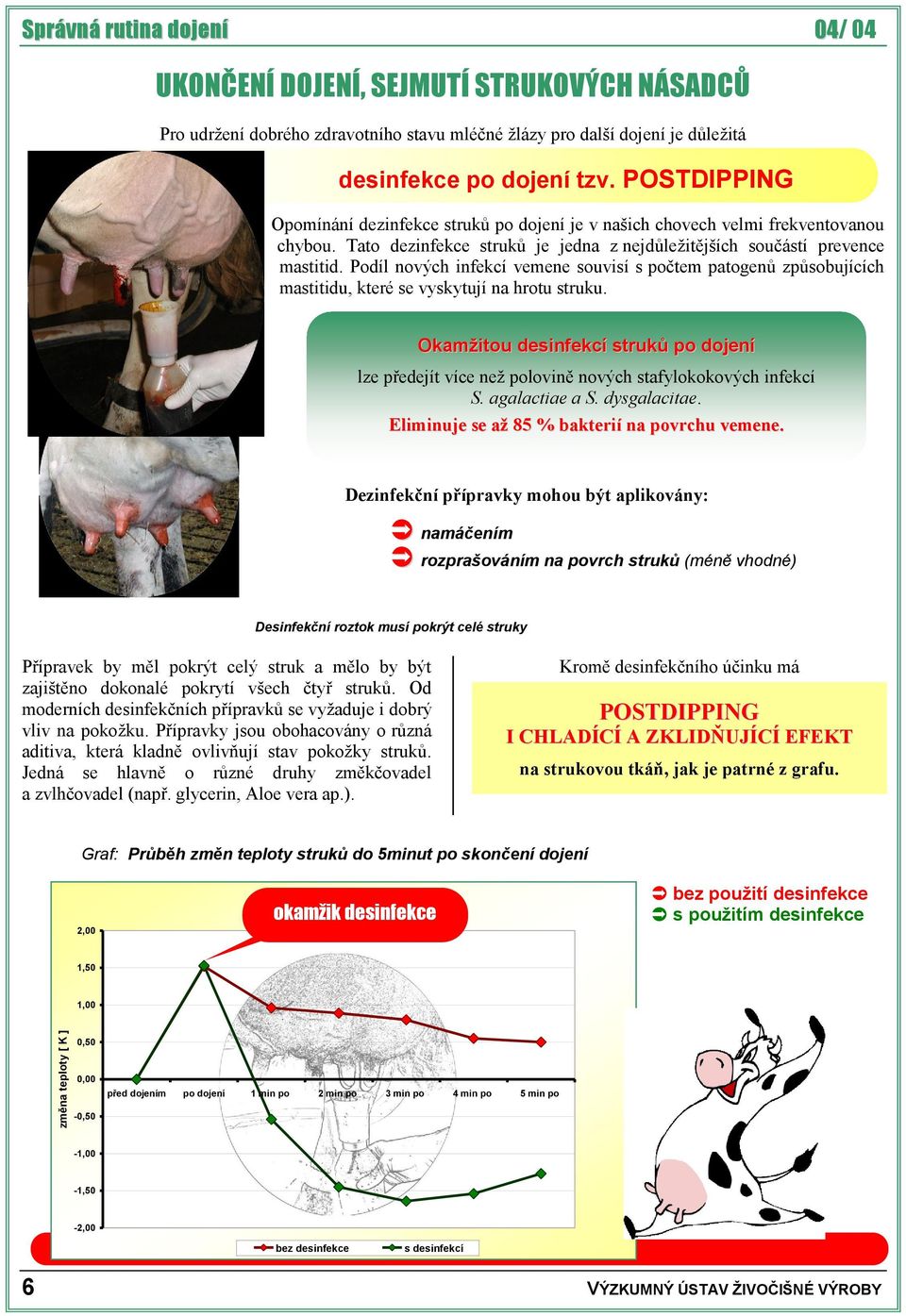 Podíl nových infekcí vemene souvisí s počtem patogenů způsobujících mastitidu, které se vyskytují na hrotu struku.