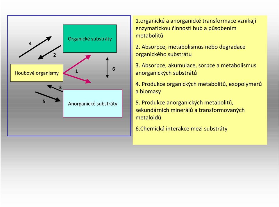 Absorpce, metabolismus nebo degradace organického substrátu 3.