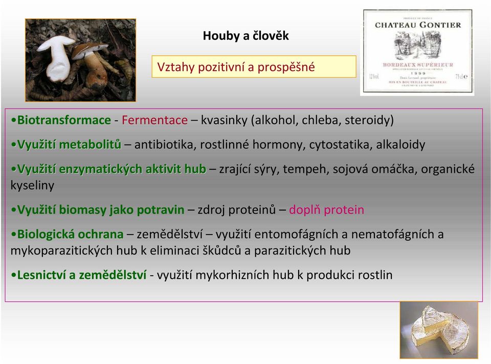 organické kyseliny Využití biomasy jako potravin zdroj proteinů doplň protein Biologická ochrana zemědělství využití entomofágnícha