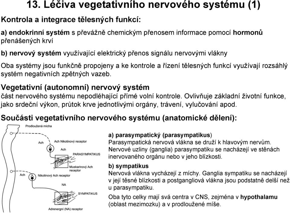 Vegetativní (autonomní) nervový systém část nervového systému nepodléhající přímé volní kontrole.