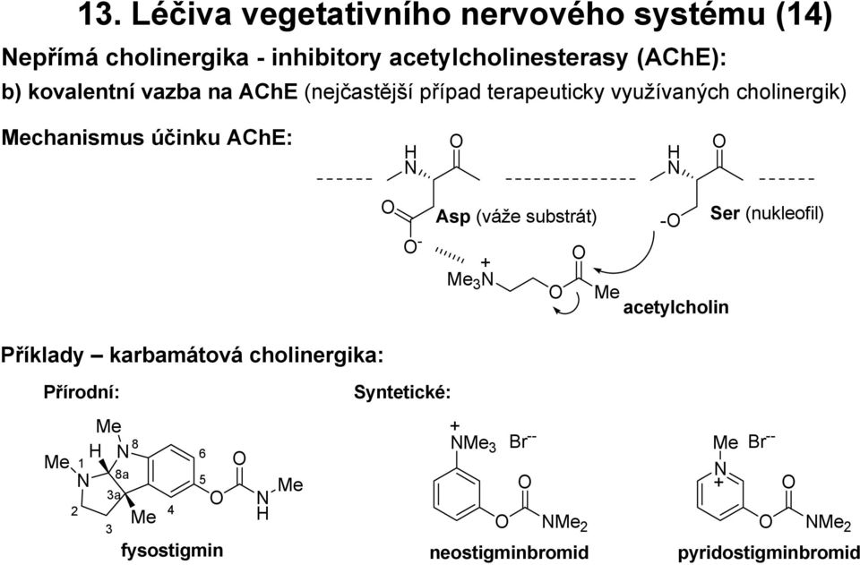 účinku AChE: Příklady karbamátová cholinergika: - Asp (váže substrát) - Ser (nukleofil) 3 acetylcholin