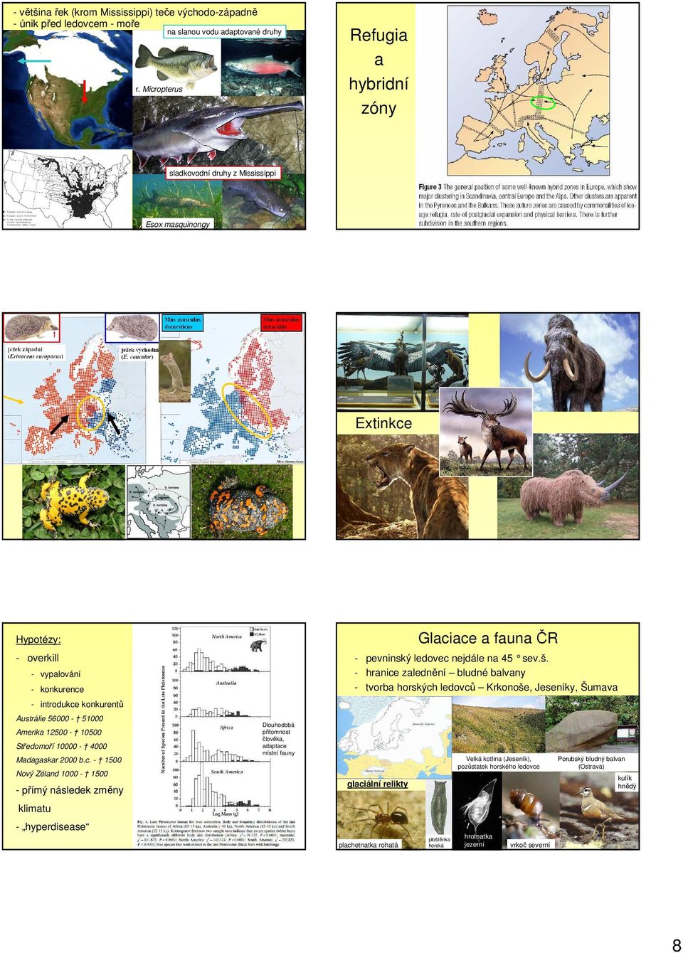 - hranice zalednění bludné balvany - tvorba horských ledovců Krkonoše, Jeseníky, Šumava - vypalování - konkurence - introdukce konkurentů Austrálie 56000-51000 Amerika 12500-10500 Středomoří