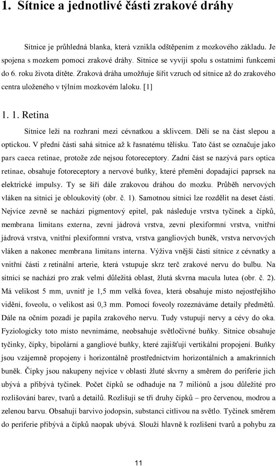 1. Retina Sítnice leţí na rozhraní mezi cévnatkou a sklivcem. Dělí se na část slepou a optickou. V přední části sahá sítnice aţ k řasnatému tělísku.